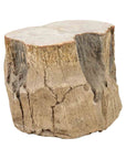 Antique Petrified Wood Tree Stump Drinks Table or Stool Covered in Gesso-1. Asian & Chinese Furniture, Art, Antiques, Vintage Home Décor for sale at FEA Home