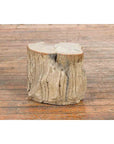 Antique Petrified Wood Tree Stump Drinks Table or Stool Covered in Gesso-4. Asian & Chinese Furniture, Art, Antiques, Vintage Home Décor for sale at FEA Home