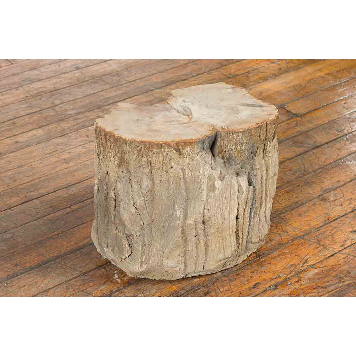 Antique Petrified Wood Tree Stump Drinks Table or Stool Covered in Gesso-5. Asian & Chinese Furniture, Art, Antiques, Vintage Home Décor for sale at FEA Home