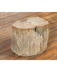 Antique Petrified Wood Tree Stump Drinks Table or Stool Covered in Gesso-5. Asian & Chinese Furniture, Art, Antiques, Vintage Home Décor for sale at FEA Home