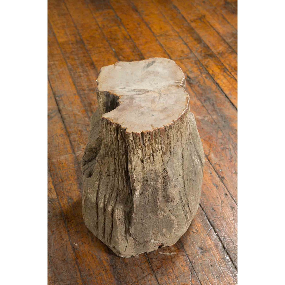 Antique Petrified Wood Tree Stump Drinks Table or Stool Covered in Gesso-6. Asian & Chinese Furniture, Art, Antiques, Vintage Home Décor for sale at FEA Home