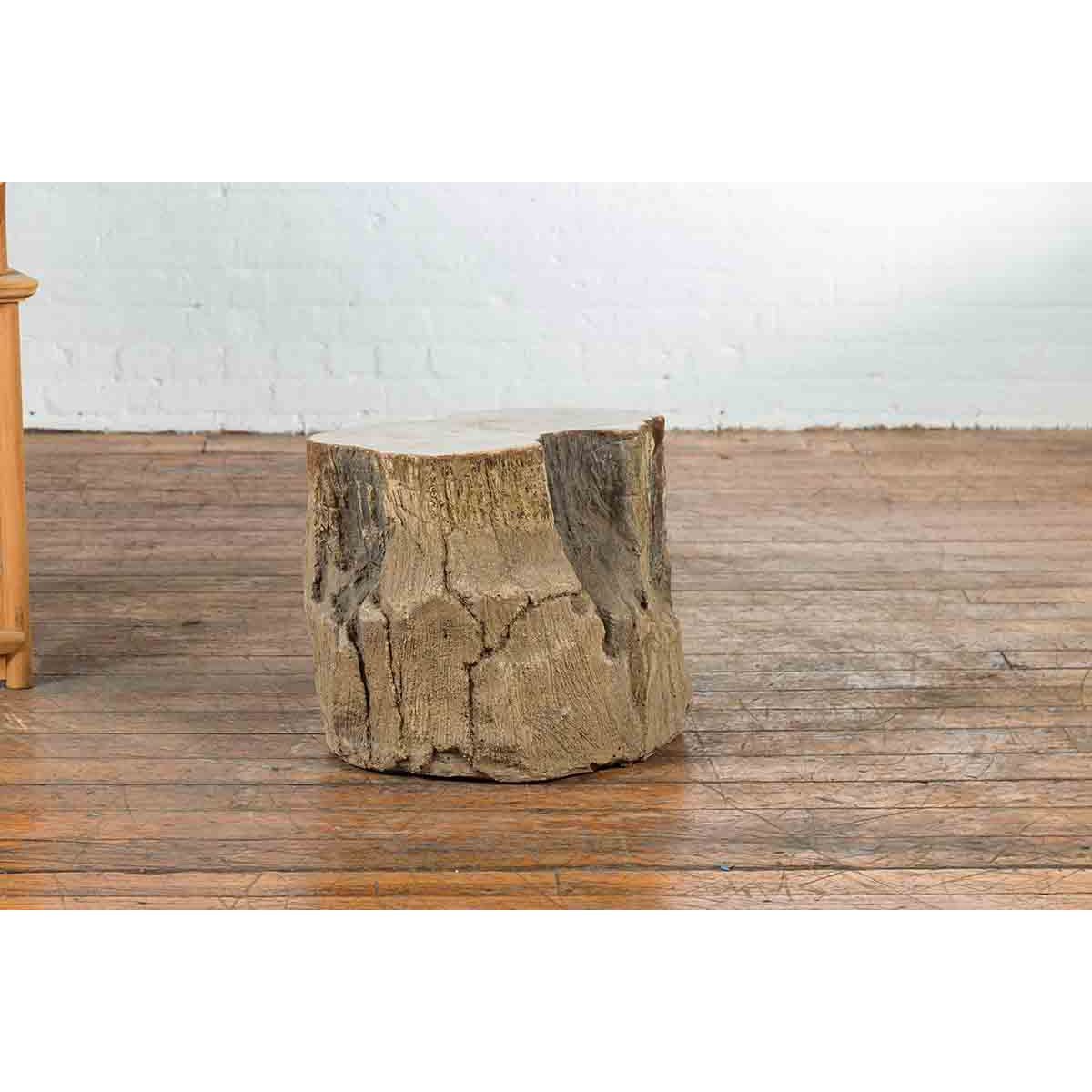 Antique Petrified Wood Tree Stump Drinks Table or Stool Covered in Gesso-10. Asian & Chinese Furniture, Art, Antiques, Vintage Home Décor for sale at FEA Home
