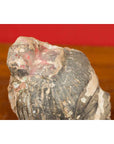Chinese Antique Painted Terracotta Head with Traces of Original Polychromy-12. Asian & Chinese Furniture, Art, Antiques, Vintage Home Décor for sale at FEA Home