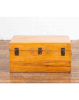 Early 20th Century Elmwood Blanket Chest-12. Asian & Chinese Furniture, Art, Antiques, Vintage Home Décor for sale at FEA Home