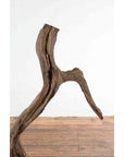 Brown wooden Indonesian river fragment sculpture on wood floor, white wall background, rustic antique style.
