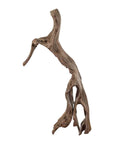 Brown weathered wood Indonesian river fragment sculpture or bench with twisted branches, rustic close-up view.