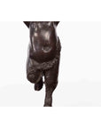 Pair of Bronze Greco-Roman Style Satyr Candle Holders-10. Asian & Chinese Furniture, Art, Antiques, Vintage Home Décor for sale at FEA Home