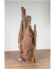 Ancient Driftwood Carving from Northern Thailand Found in the Chiang Mai Region-3. Asian & Chinese Furniture, Art, Antiques, Vintage Home Décor for sale at FEA Home
