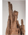 Ancient Driftwood Carving from Northern Thailand Found in the Chiang Mai Region-6. Asian & Chinese Furniture, Art, Antiques, Vintage Home Décor for sale at FEA Home