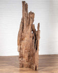 Brown driftwood carving from Northern Thailand on a wooden floor with a white brick wall background.