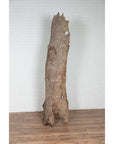 Brown driftwood carving from Northern Thailand, carved wood detail, photographed indoors in Chiang Mai.