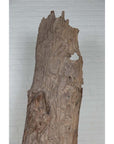 Brown driftwood carving from Northern Thailand on weathered tree trunk with light gray brick wall background.