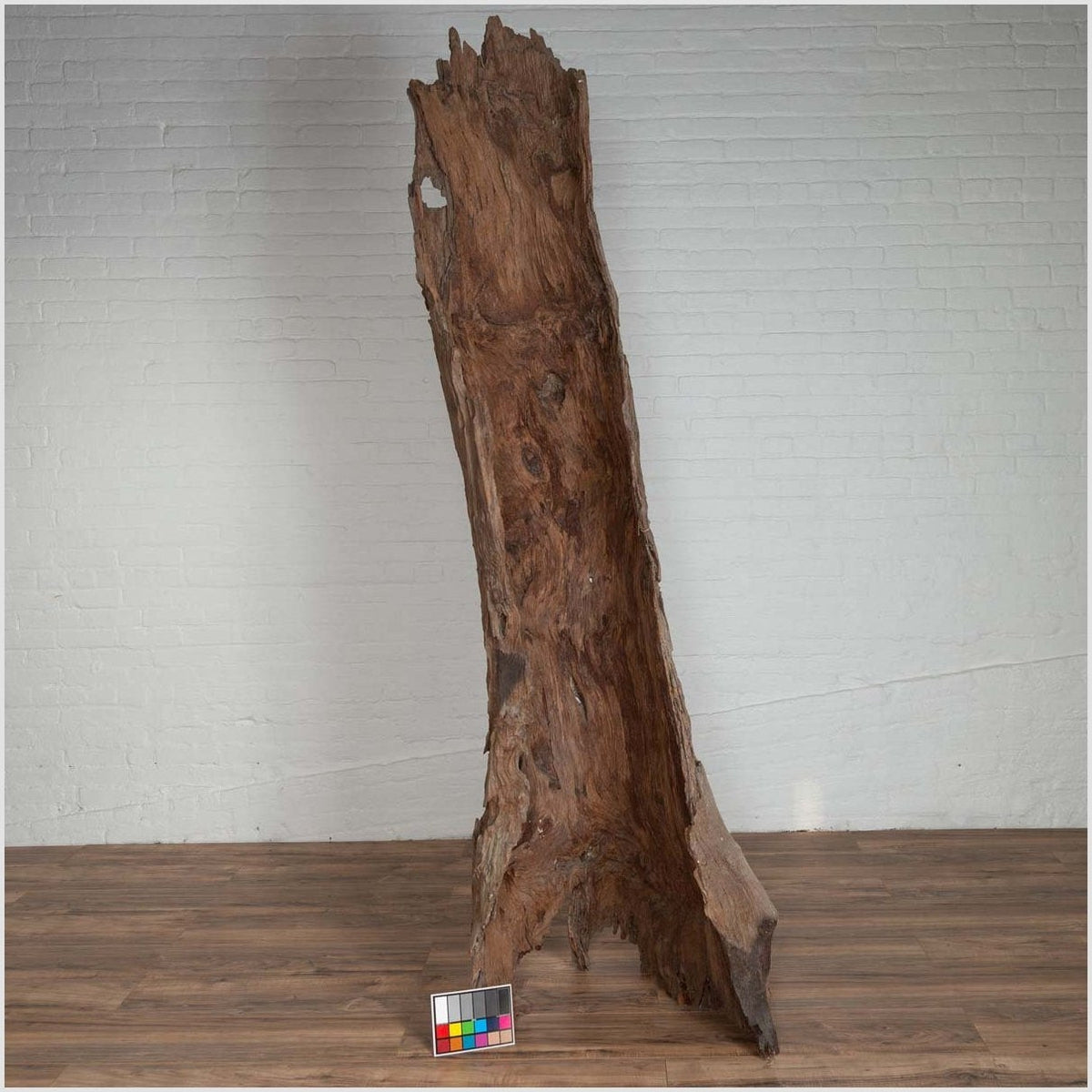 Ancient Driftwood Carving from Northern Thailand Found in the Chiang Mai Region-3. Asian & Chinese Furniture, Art, Antiques, Vintage Home Décor for sale at FEA Home