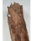 Brown driftwood carving, wood sculpture displayed indoors against a white brick wall background.