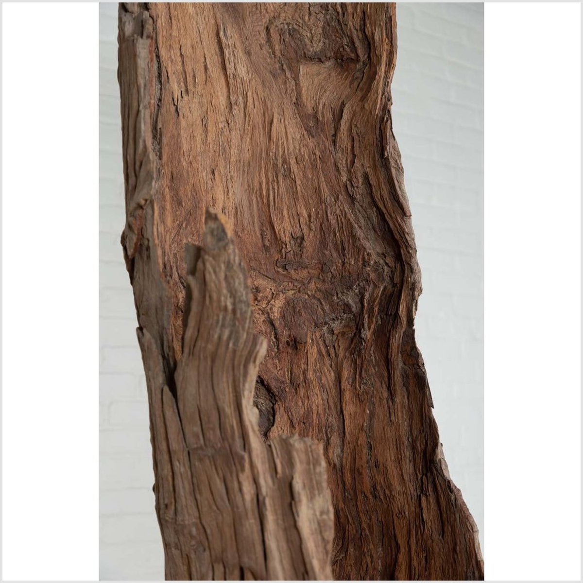 Ancient Driftwood Carving from Northern Thailand Found in the Chiang Mai Region-10. Asian & Chinese Furniture, Art, Antiques, Vintage Home Décor for sale at FEA Home
