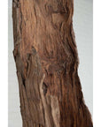 Brown driftwood close-up carving, ancient wood material, displayed against a brick wall background indoors.