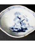 Blue and white porcelain dish with hand painted landscape, wavy rim, close-up against a moody background.