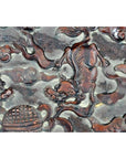 Dark rosewood lacquered wall plaque, hand carved with a mythical creature, cloud motifs, and round accent pattern.