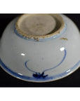 Blue and white porcelain dish with radial botanical spray design and unglazed base ring, close-up view.