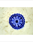 Close-up of a blue floral pattern on a white textured ceramic plate with radial medallion sunburst design.