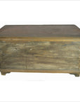Antique Hand Made Anglo-Indian Bone and Horn Home Blanket Chest Trunk-3. Asian & Chinese Furniture, Art, Antiques, Vintage Home Décor for sale at FEA Home
