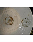 Antique Hand Painted Chinese Plate-4. Asian & Chinese Furniture, Art, Antiques, Vintage Home Décor for sale at FEA Home