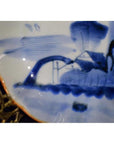 Close-up of blue and white hand painted Chinese porcelain bowl with water, hills, and birds scene.