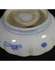 Close-up of blue and white porcelain bowl with hand-painted designs and rounded foot, placed indoors.
