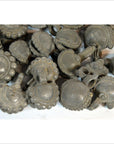 Antique Indian Brass Bells-3. Asian & Chinese Furniture, Art, Antiques, Vintage Home Décor for sale at FEA Home