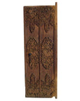Tall narrow brown Sheesham wood Indian door with carved floral and geometric patterns, iron hardware visible.