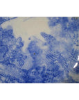Blue and white ceramic Igezara plate with Meiji Period bird and floral designs, close-up.