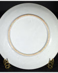 Antique Japanese Igezara Transferware Plate-5. Asian & Chinese Furniture, Art, Antiques, Vintage Home Décor for sale at FEA Home