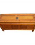 Antique Low Kang Chinese Chest with Drawers, Doors and Brass Hardware-2. Asian & Chinese Furniture, Art, Antiques, Vintage Home Décor for sale at FEA Home