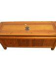Brown wood Chinese Low Kang chest with drawers, doors, and brass hardware on a white background.