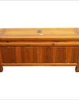Antique Low Kang Chinese Chest with Drawers, Doors and Brass Hardware-5. Asian & Chinese Furniture, Art, Antiques, Vintage Home Décor for sale at FEA Home