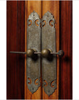 Antique Ningbo Elm and Cypress Wood Cabinet from China, 19th Century-4. Asian & Chinese Furniture, Art, Antiques, Vintage Home Décor for sale at FEA Home