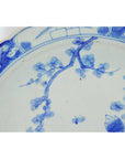 Close-up of blue and white porcelain plate with hand-painted floral and insect motifs on rim and center.