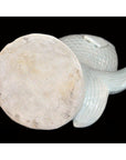 Blanc de Chine Porcelain Fish-6. Asian & Chinese Furniture, Art, Antiques, Vintage Home Décor for sale at FEA Home