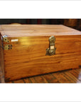 Camphor Trunk-2. Asian & Chinese Furniture, Art, Antiques, Vintage Home Décor for sale at FEA Home