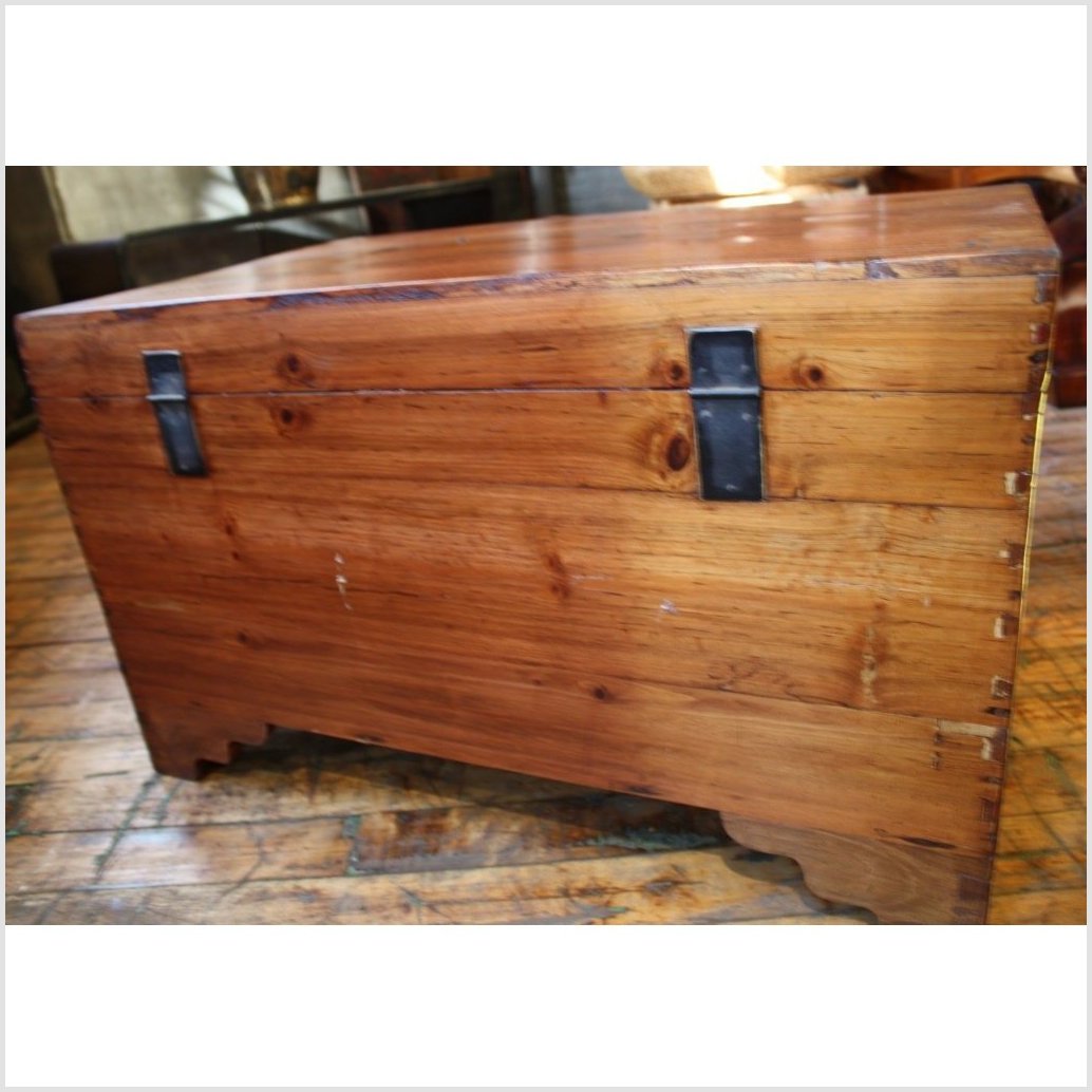 Camphor Trunk-4. Asian & Chinese Furniture, Art, Antiques, Vintage Home Décor for sale at FEA Home