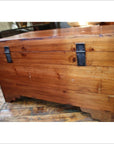 Camphor Trunk-4. Asian & Chinese Furniture, Art, Antiques, Vintage Home Décor for sale at FEA Home