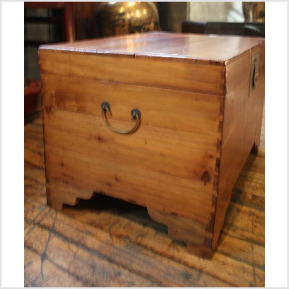 Camphor Trunk-6. Asian & Chinese Furniture, Art, Antiques, Vintage Home Décor for sale at FEA Home