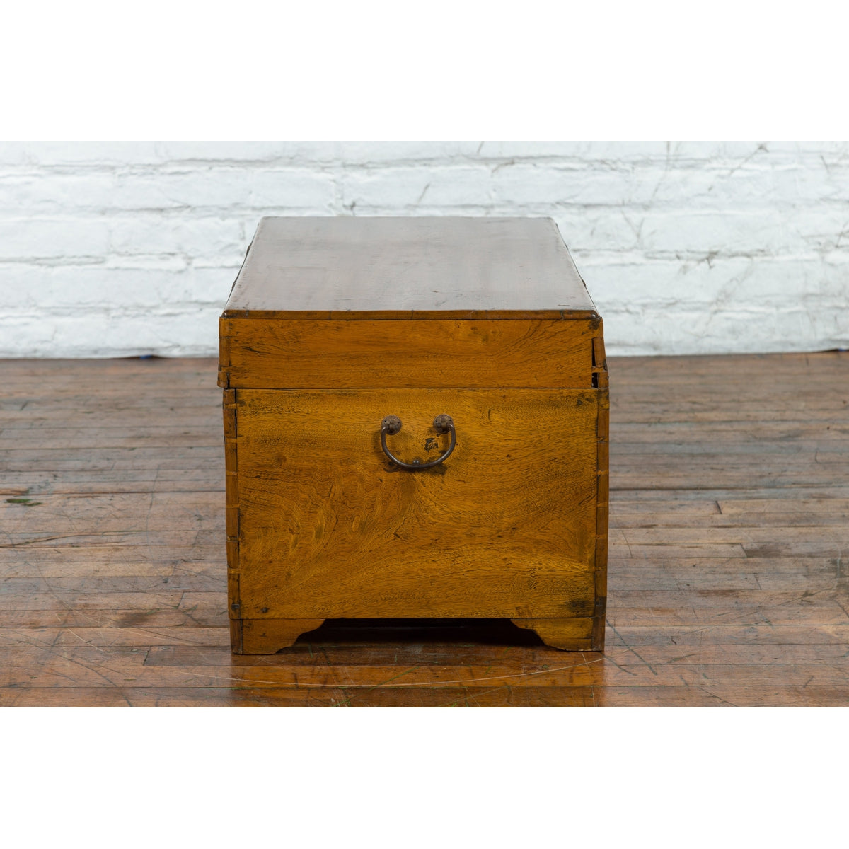 Chinese 1920s Camphor Wood Blanket Chest with Brass Hardware and Natural Patina-13. Asian & Chinese Furniture, Art, Antiques, Vintage Home Décor for sale at FEA Home