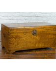 Chinese 1920s Camphor Wood Blanket Chest with Brass Hardware and Natural Patina-2. Asian & Chinese Furniture, Art, Antiques, Vintage Home Décor for sale at FEA Home
