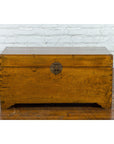 Chinese 1920s Camphor Wood Blanket Chest with Brass Hardware and Natural Patina-3. Asian & Chinese Furniture, Art, Antiques, Vintage Home Décor for sale at FEA Home