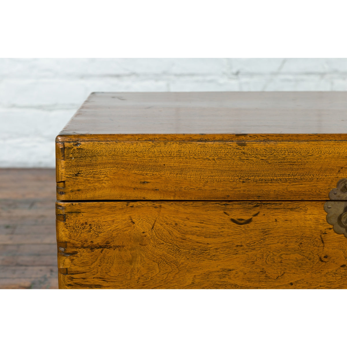 Chinese 1920s Camphor Wood Blanket Chest with Brass Hardware and Natural Patina-6. Asian & Chinese Furniture, Art, Antiques, Vintage Home Décor for sale at FEA Home