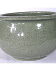 Light green celadon ceramic bowl with wide rim, hand thrown, close-up on plain white background.