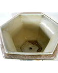 Multi-color porcelain hexagonal planter with bottom hole and decorative rim trim, top view.