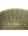 Close-up of green celadon porcelain bowl rim with detailed fine crackle glaze pattern.