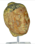 Han Dynasty Terracotta Head-3. Asian & Chinese Furniture, Art, Antiques, Vintage Home Décor for sale at FEA Home
